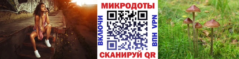 купить наркоту  Абинск  Псилоцибиновые грибы ЛСД 